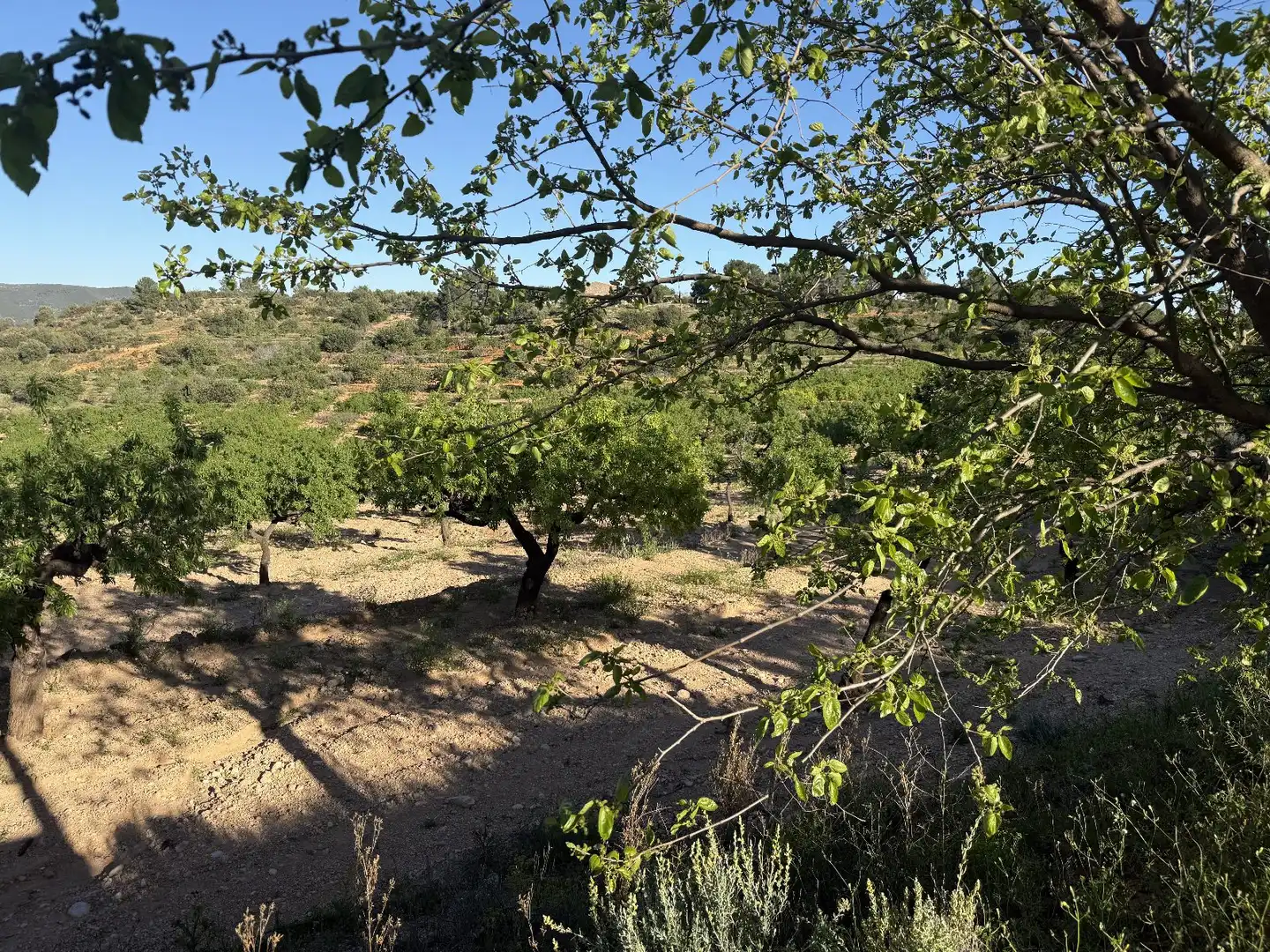 Grundstücke zum Verkauf in Useras /  Les Useres, Castellón