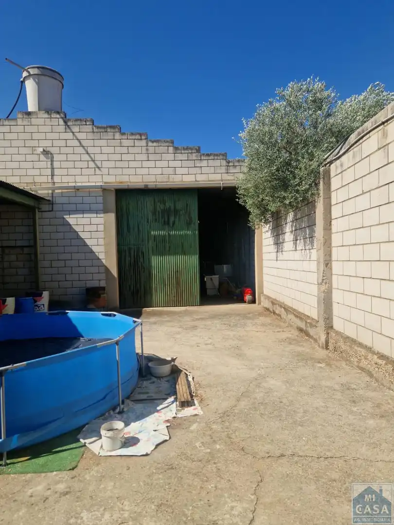 Terreni e lotti in vendita a Este, imagen 5