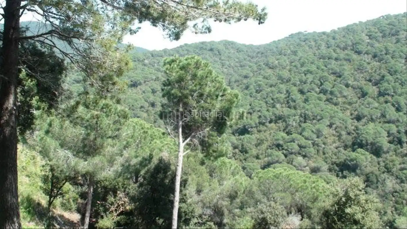 Wohnbaugrundstück zum Verkauf in Carrer de la Pedra 49, imagen 3
