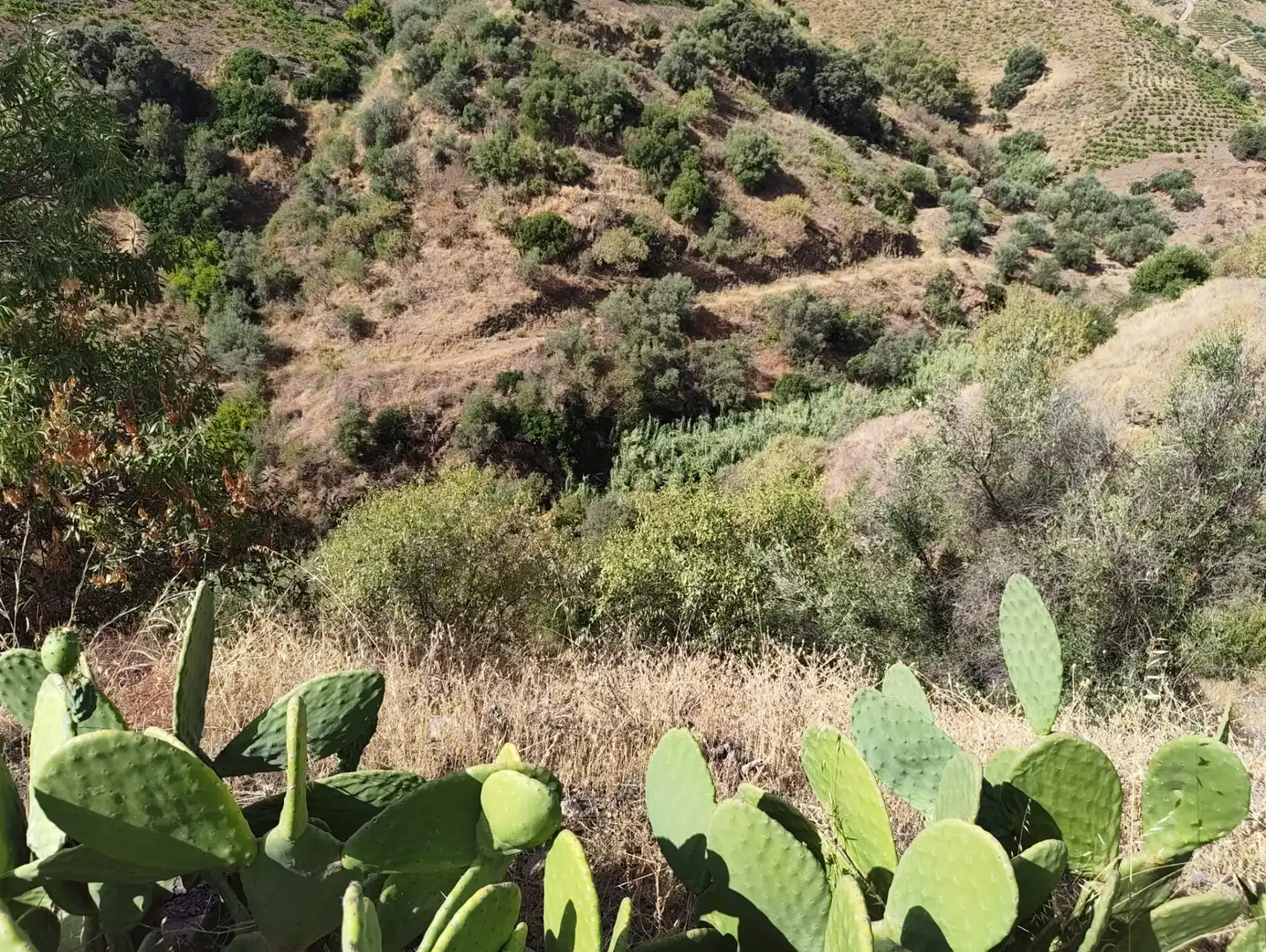 Country homes for sale in Almáchar  with Air Conditioner, Heating and Private garden