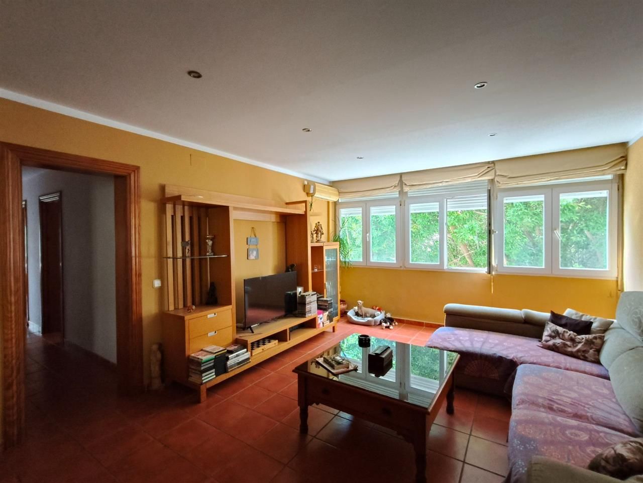 Living room of Flat for sale in Málaga Capital