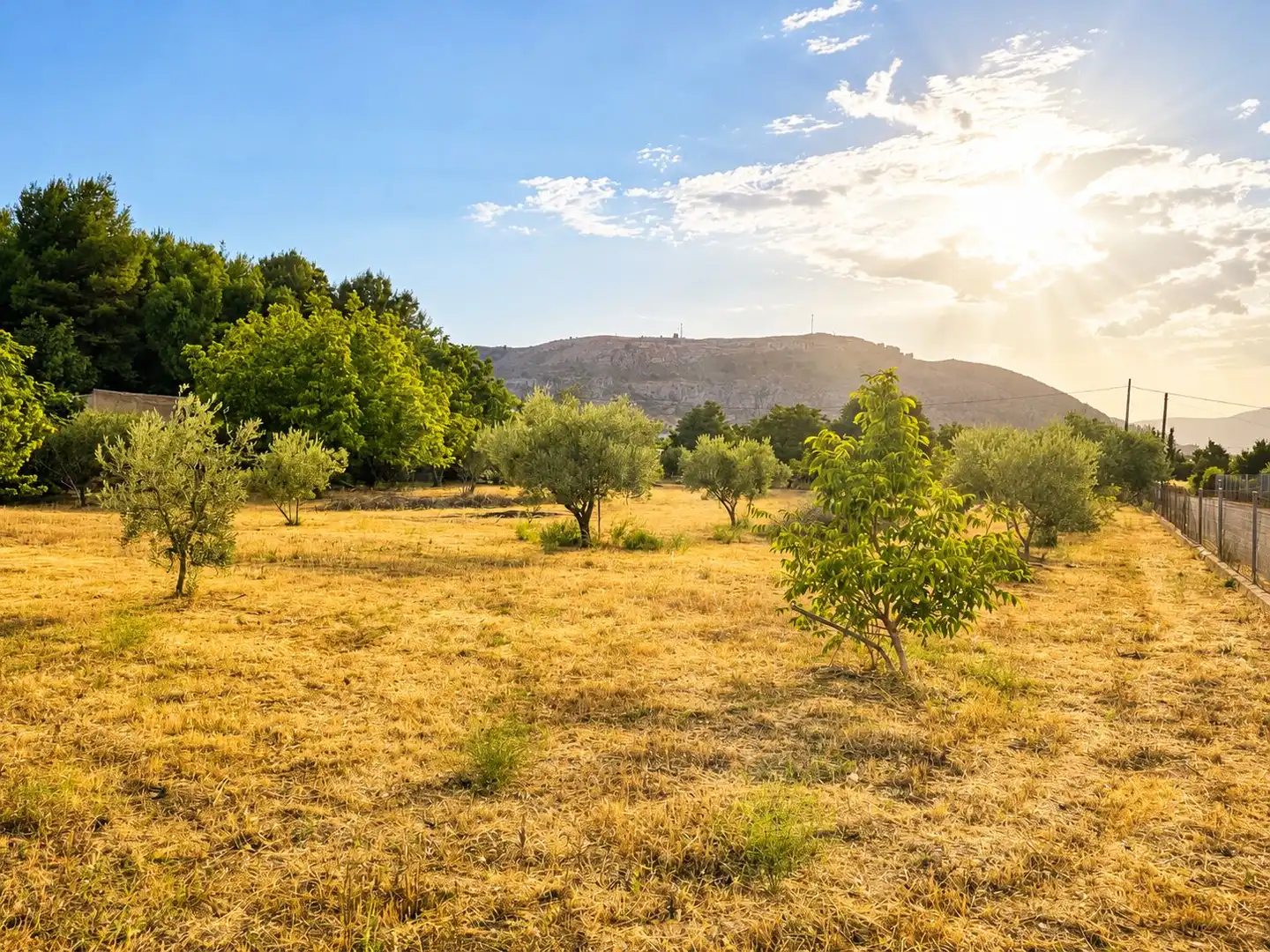 Country homes for sale in Cehegín  with Terrace and Swimming Pool