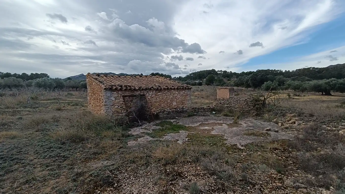 Terrain rustique à vendre à Rasquera, imagen 4