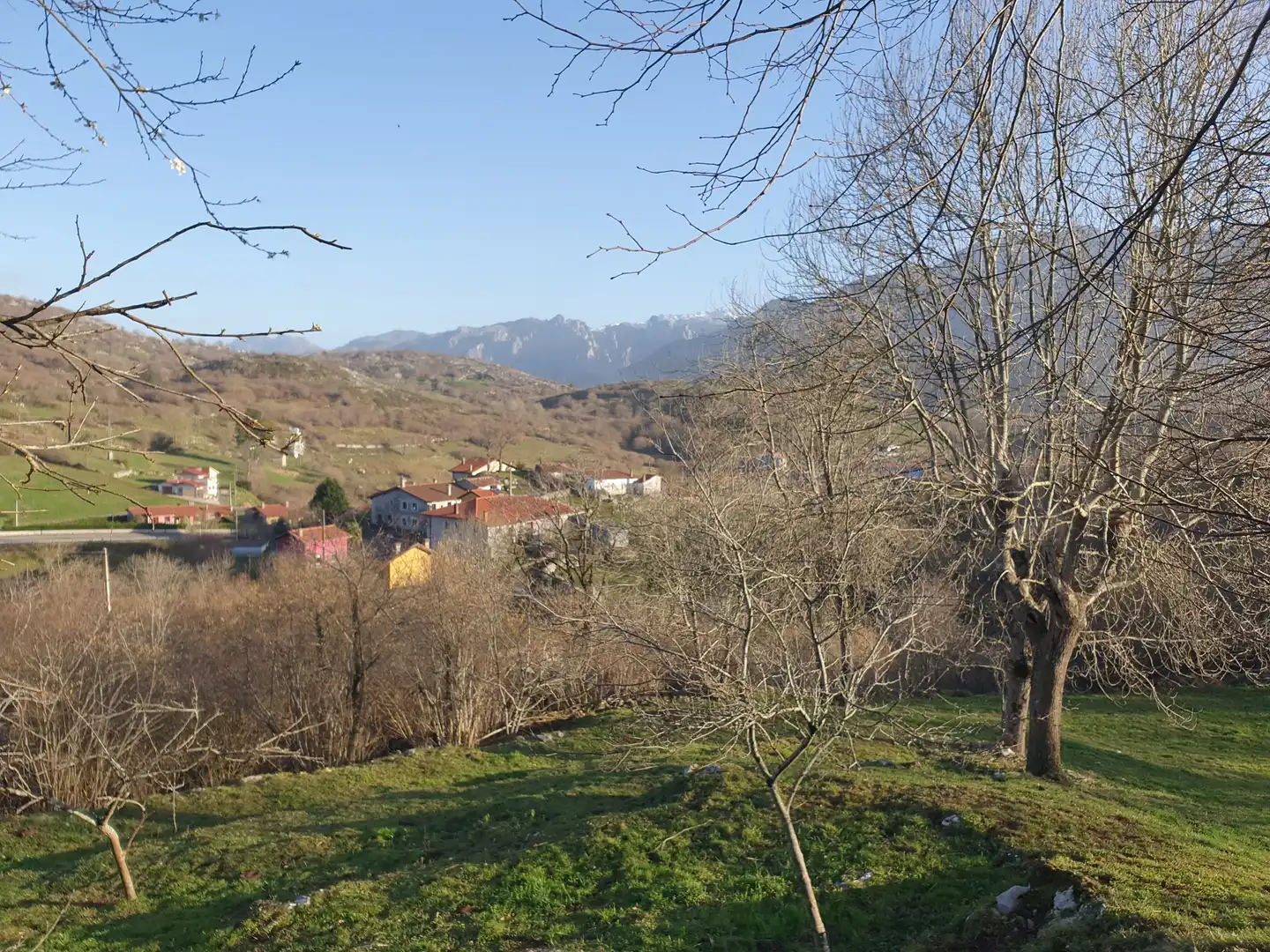 Country homes for sale in Cabrales