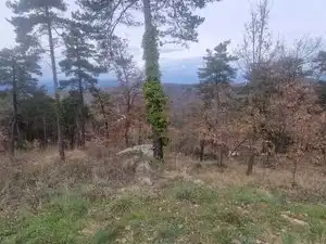 Residential land for sale in Carrer de l'Estany 408, imagen 17