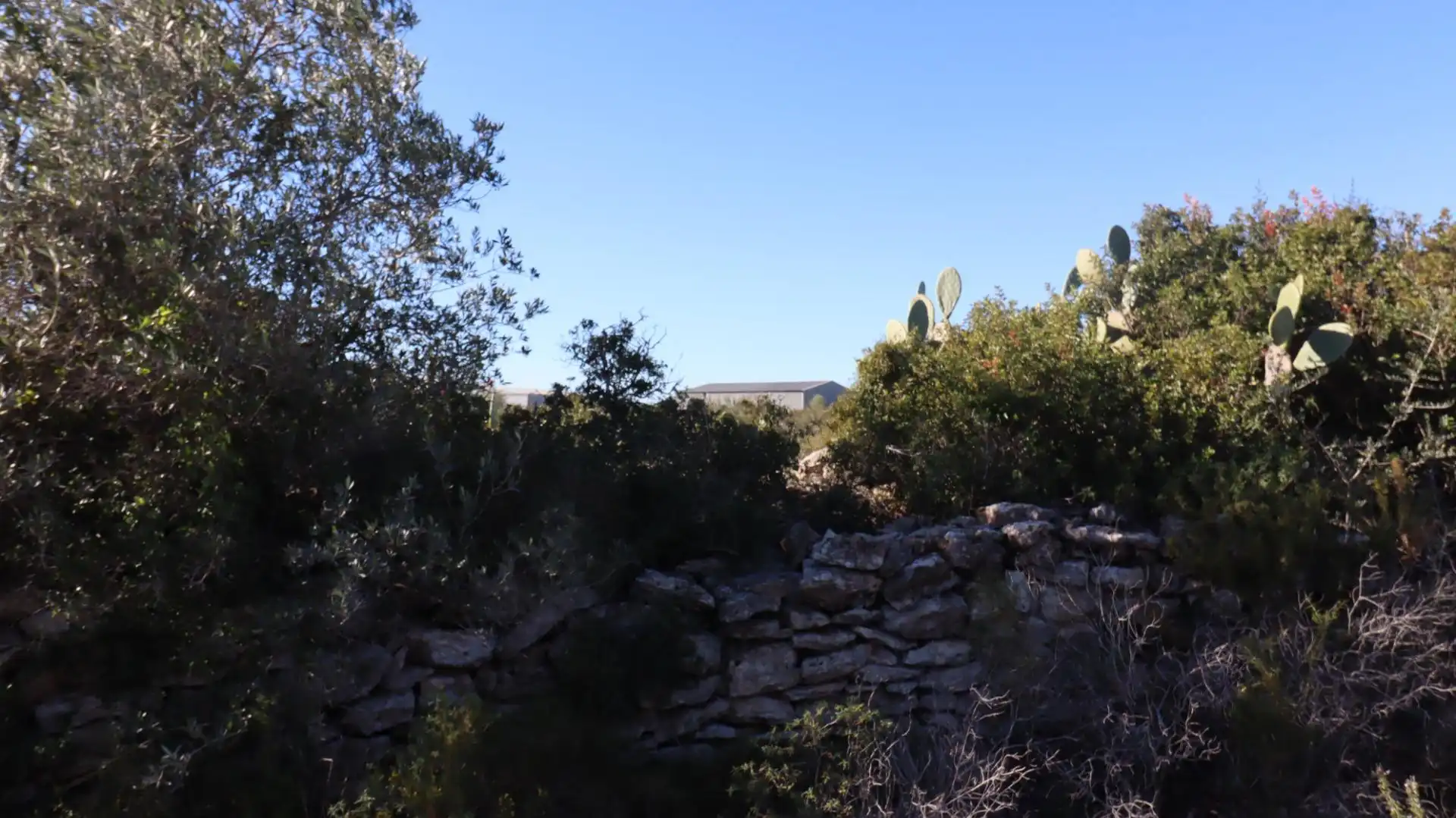 Rural land for sale in Partidas de interior - Zona Rústica, imagen 6