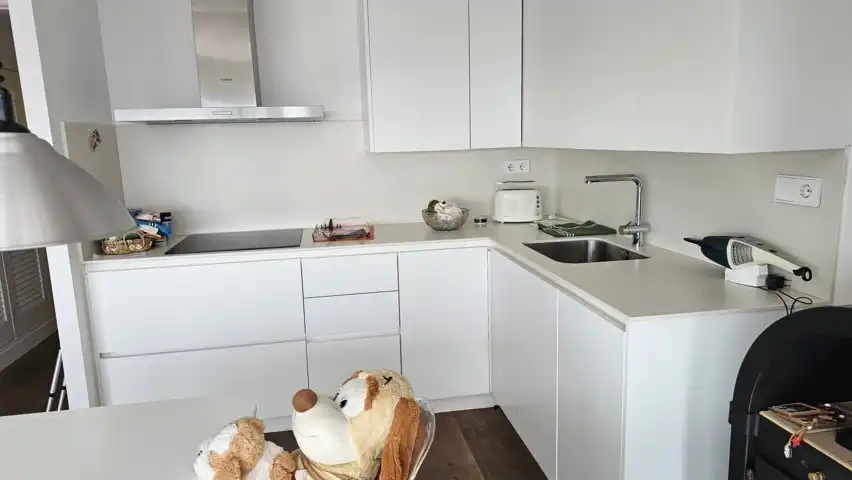 Cuina de Casa o xalet en venda en Barcelona amb Aire condicionat, Calefacció i Jardí privat