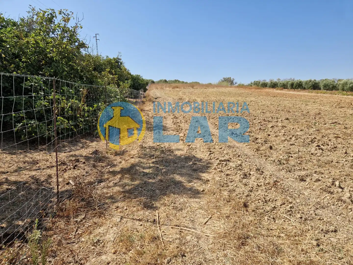 Terreno rustico in vendita a Bonares, imagen 4