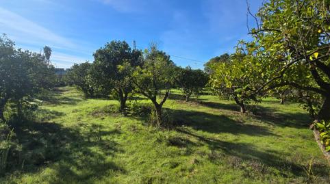 Photo 3 of Residential for sale in Urbanizacion Urbanización Pulpejas I , Loreto, Sevilla