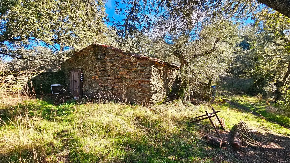 Casa o xalet en venda en Los Marines amb Jardí privat, Terrassa i Traster