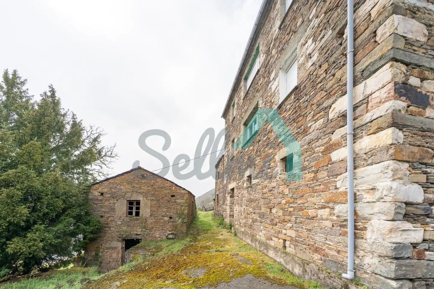 Vista exterior de Casa o chalet en venta en Illano con Calefacción, Jardín privado y Parquet
