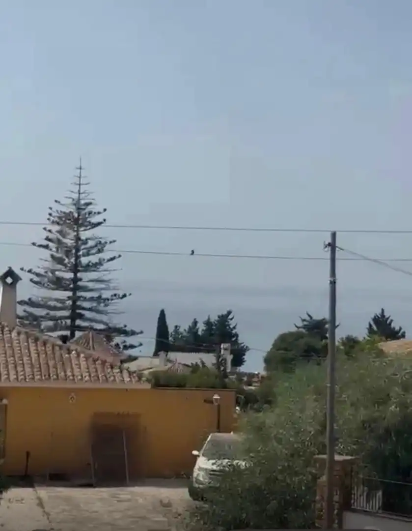 Vista exterior de Casa o chalet en venta en Mijas con Aire acondicionado, Calefacción y Jardín privado