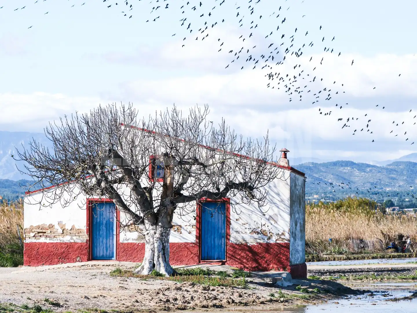 Terreny industrial en venda a Vial Camino, 46, Sant Jaume d'Enveja