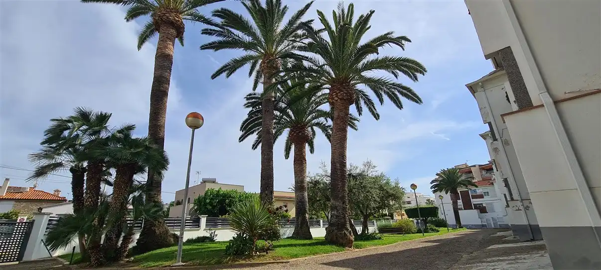 Apartament de lloguer a Carrer de Lleida, 25, Regueral - Prat d'en Forés