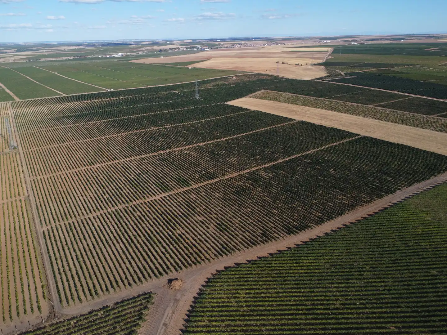 Terreno rustico in vendita a Rueda, imagen 2