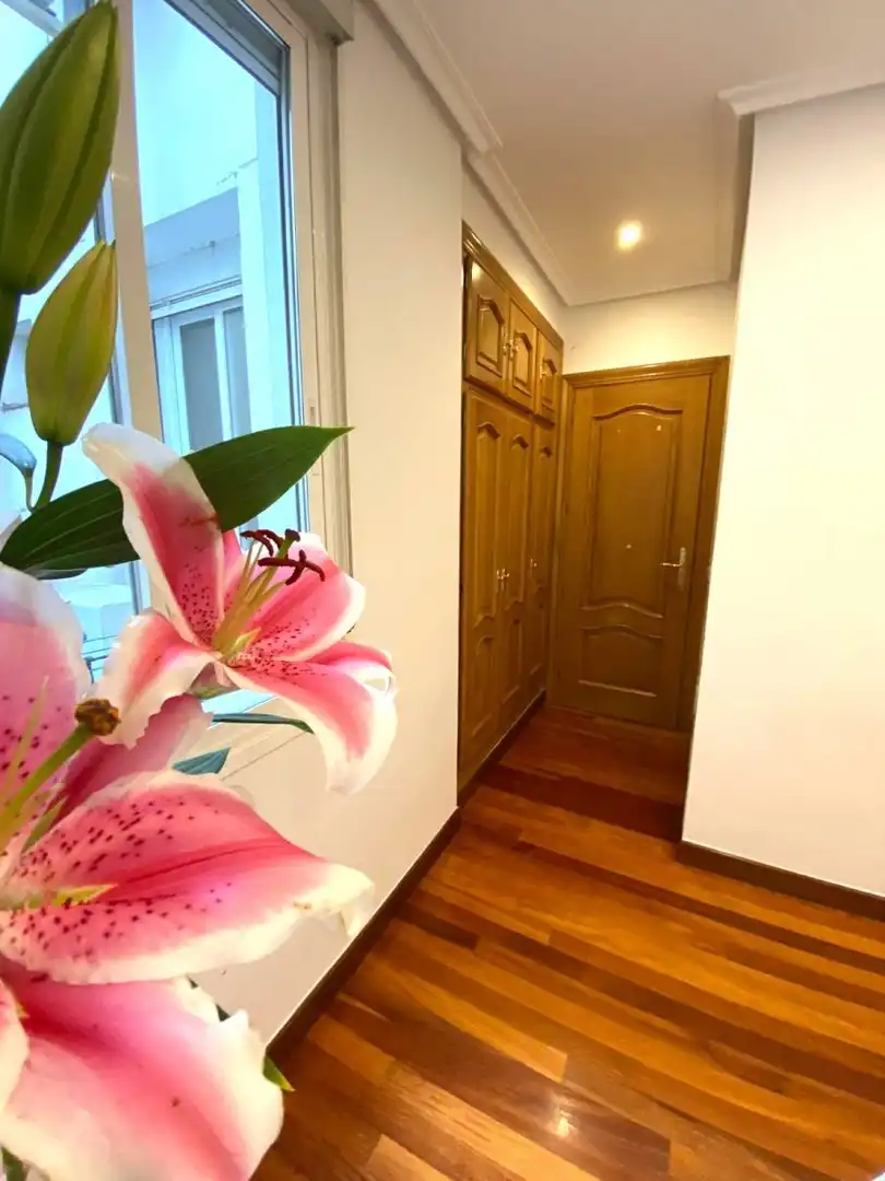 Piso de alquiler en Madrid con Aire acondicionado, Calefacción y Balcón