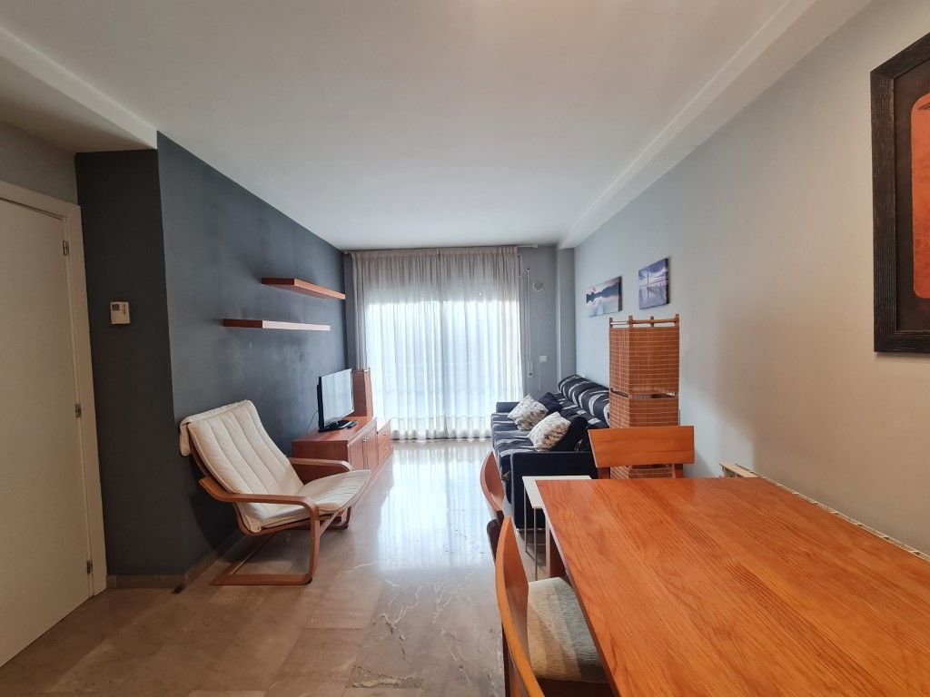 Sala d'estar de Pis de lloguer en Girona Capital