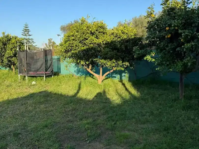 Finca rústica en venda en Montoro amb Aire condicionat, Jardí privat i Traster