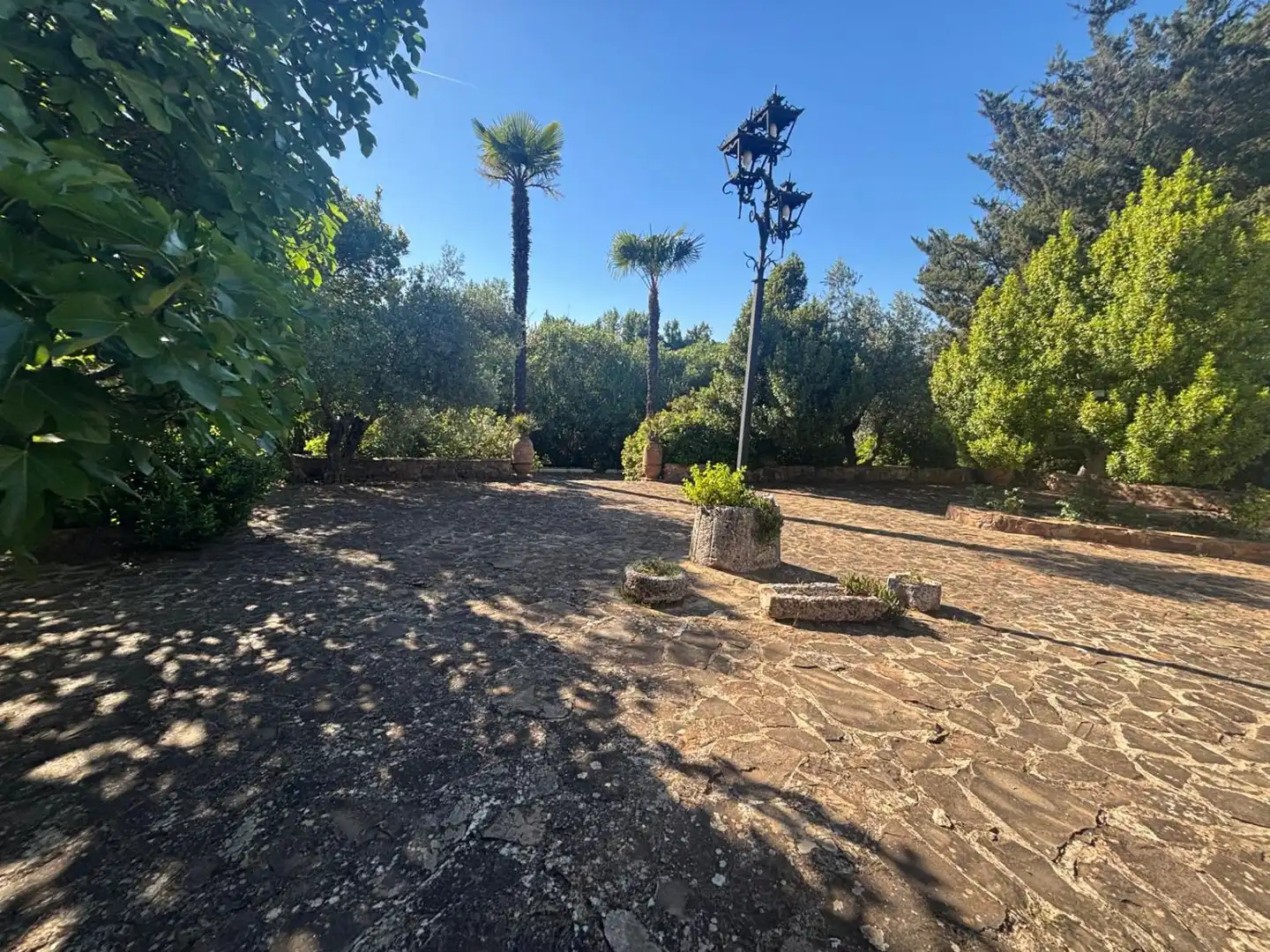 Jardí de Finca rústica en venda en Ciudad Real