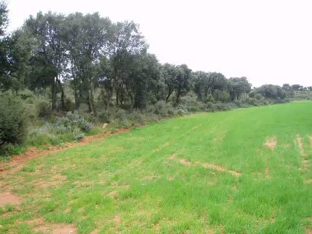 Terreni e lotti in vendita a Motilla del Palancar, imagen 4