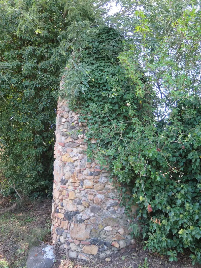 Vista exterior de Casa o xalet de lloguer en Sant Andreu Salou amb Calefacció, Jardí privat i Terrassa