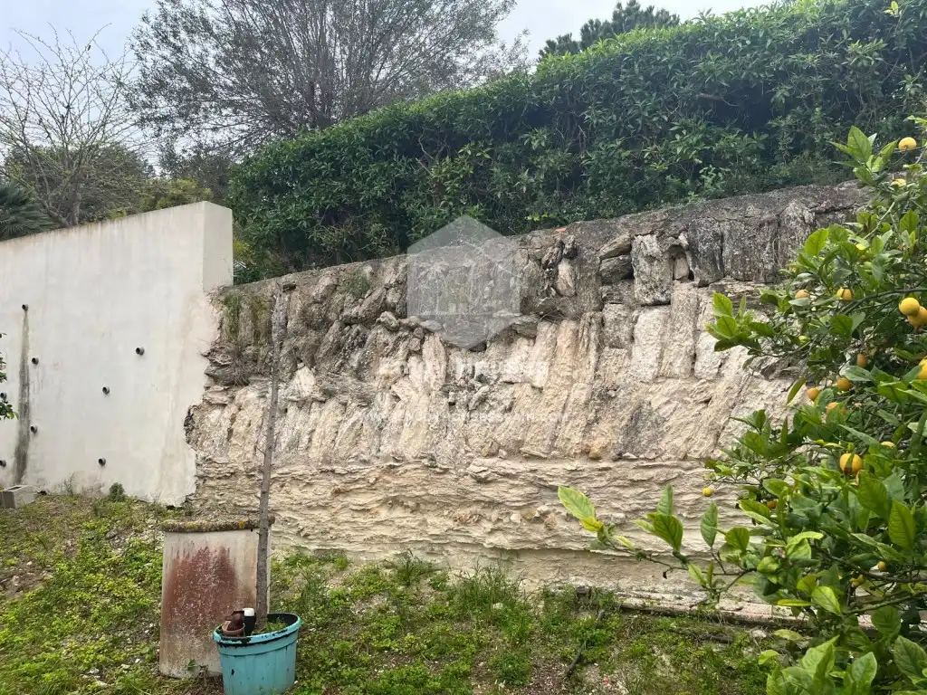 Houses for sale in Cap Martí - El Tossalet - Pinomar