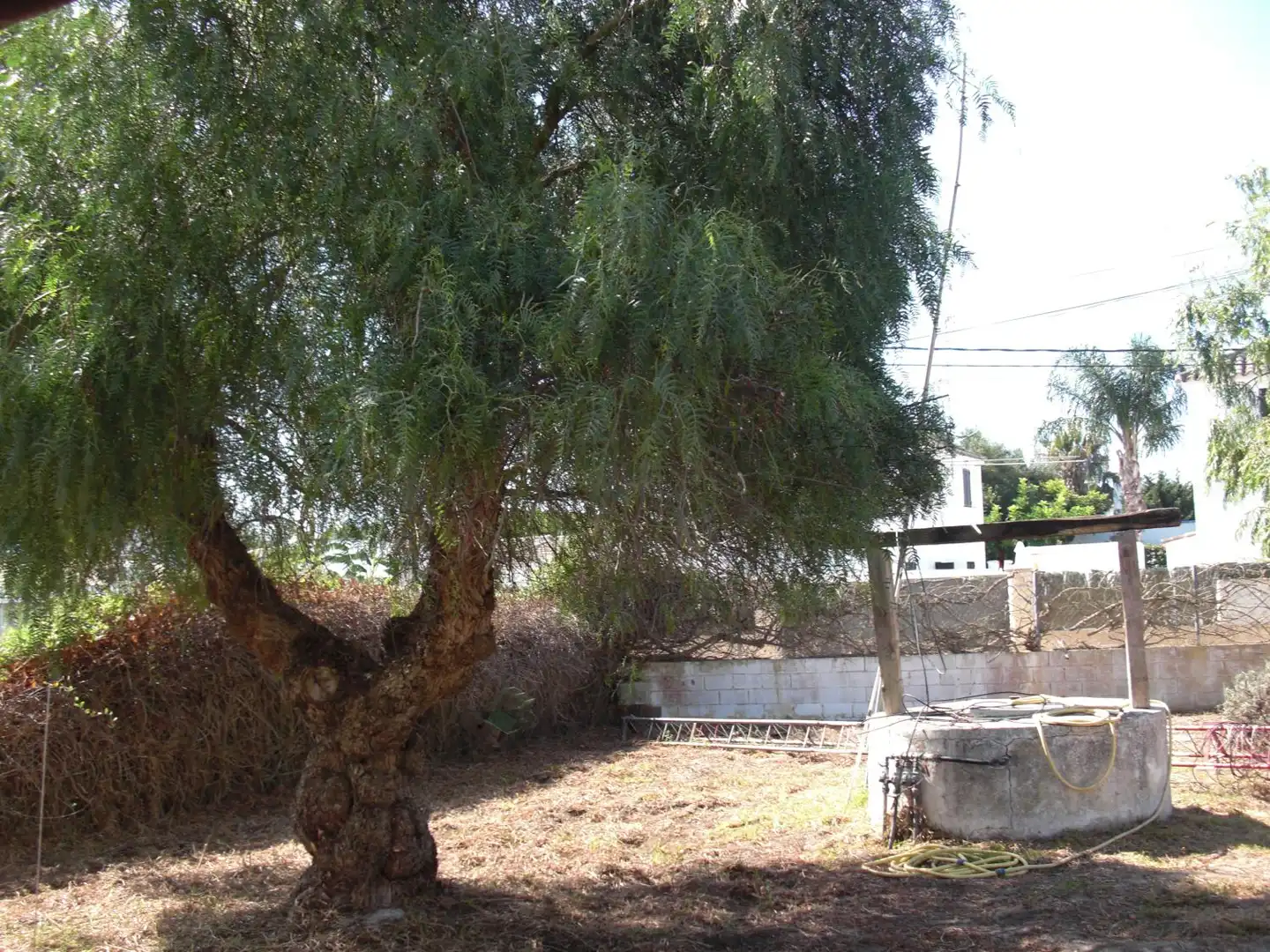 Casa o xalet en venda en Chiclana de la Frontera amb Terrassa