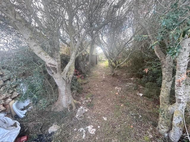 Country house for sale in Ciutadella de Menorca  with Furnished