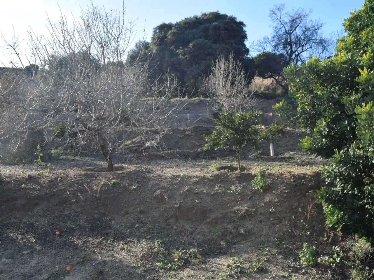 Maison avec jardin à vendre à Camí Baix de Tiana 0, imagen 8
