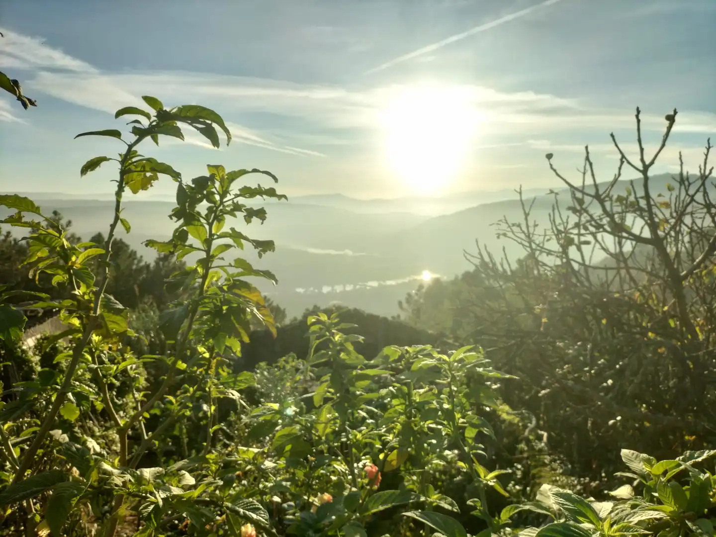 Jardín de Finca rústica en venta en Ourense Capital  con Jardín privado, Terraza y Balcón