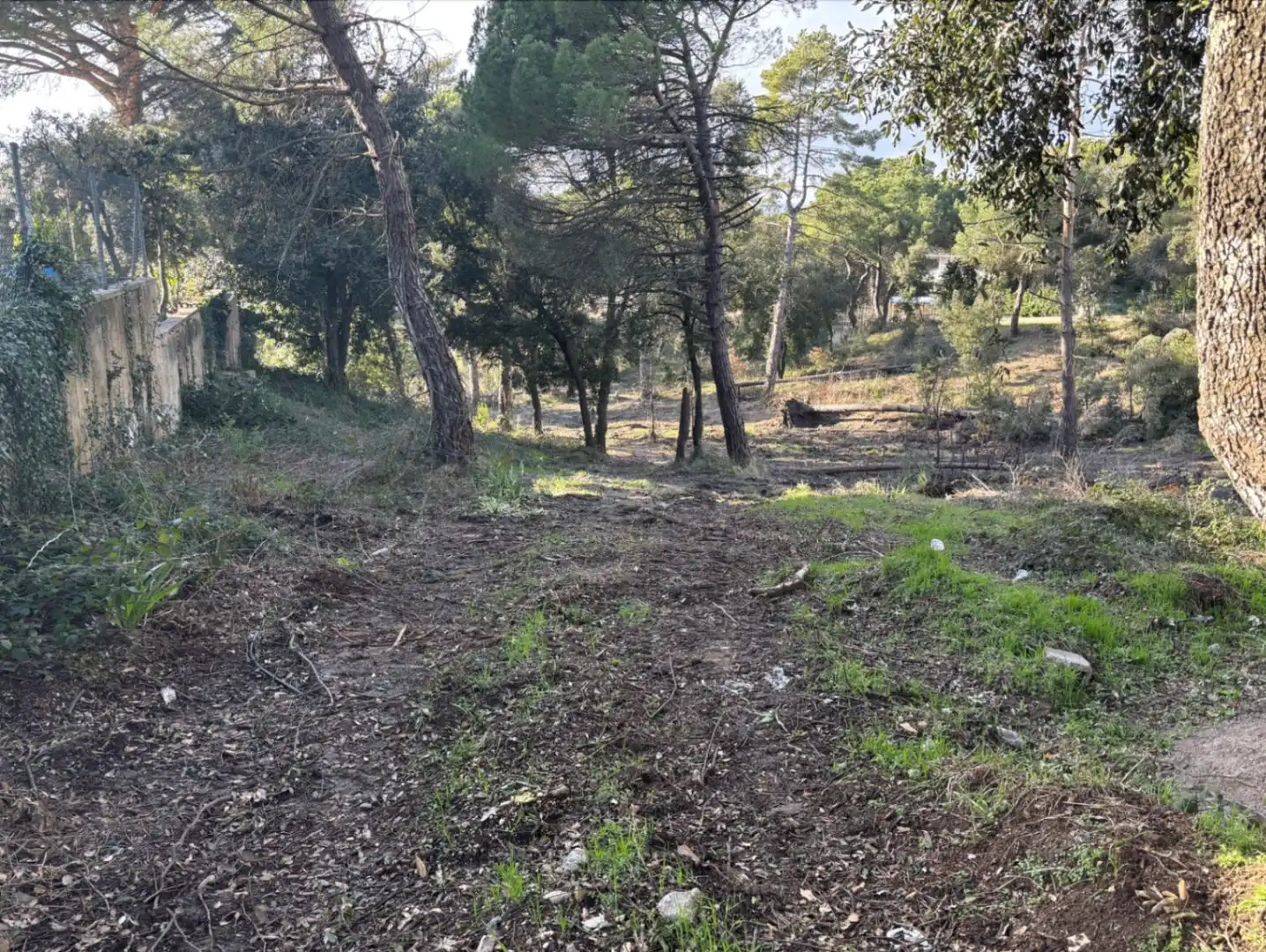 Wohnbaugrundstück zum Verkauf in Avinguda Montseny 40, imagen 7