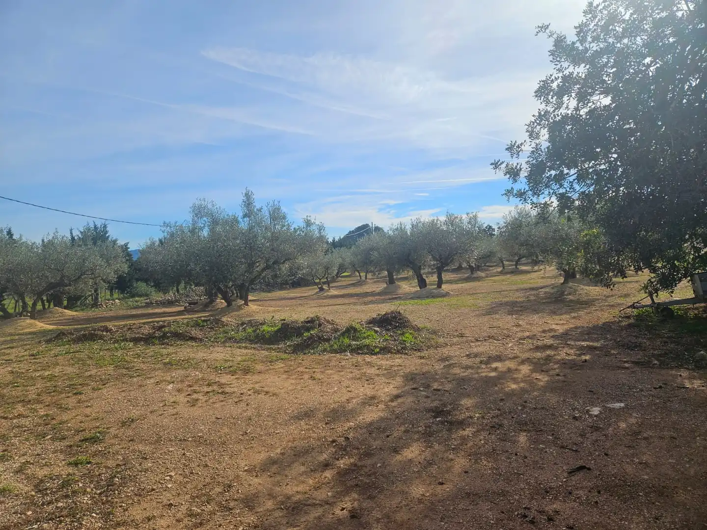 Rural land for sale in Aldover, imagen 35