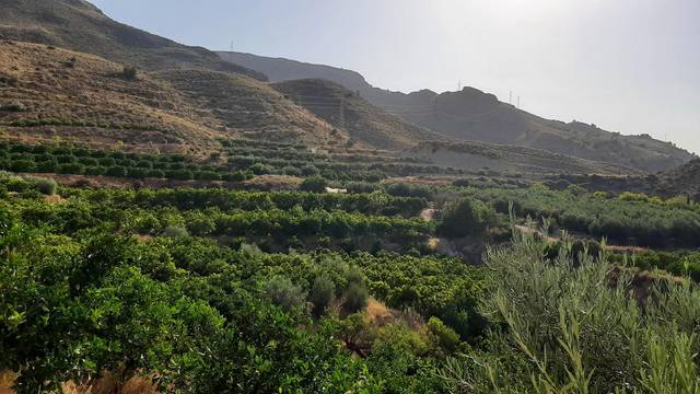 Terreno en Venta en Íllar