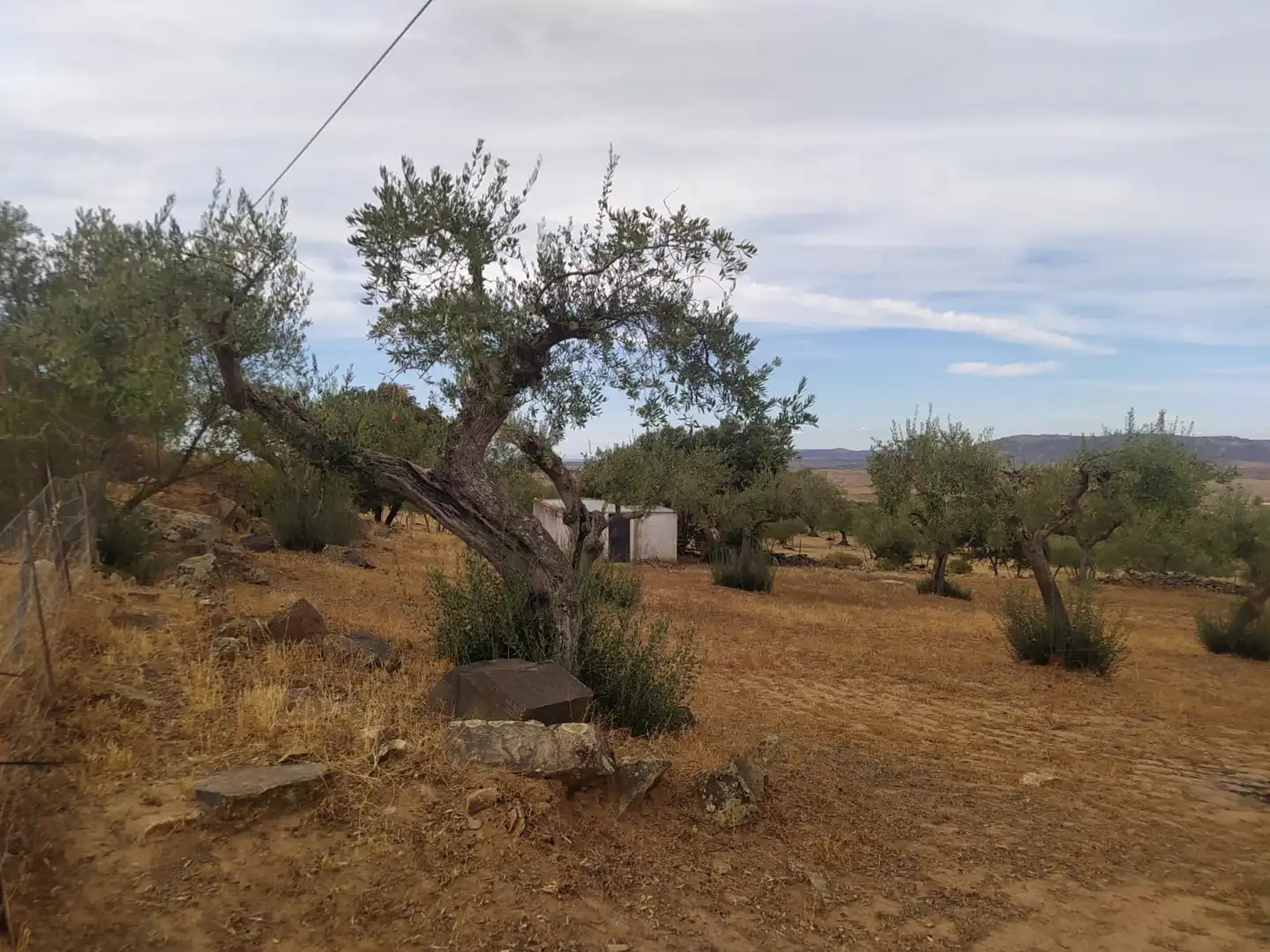 Terreni e lotti in vendita a Valencia de Alcántara, imagen 16