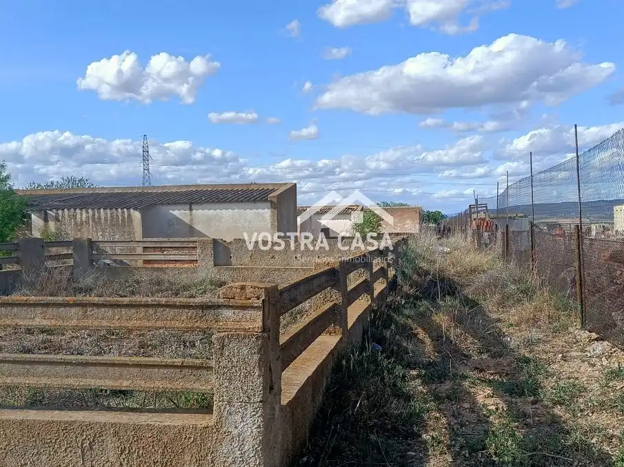Terreny rústic en venda a PARAJE DE LA CERCA, imagen 13