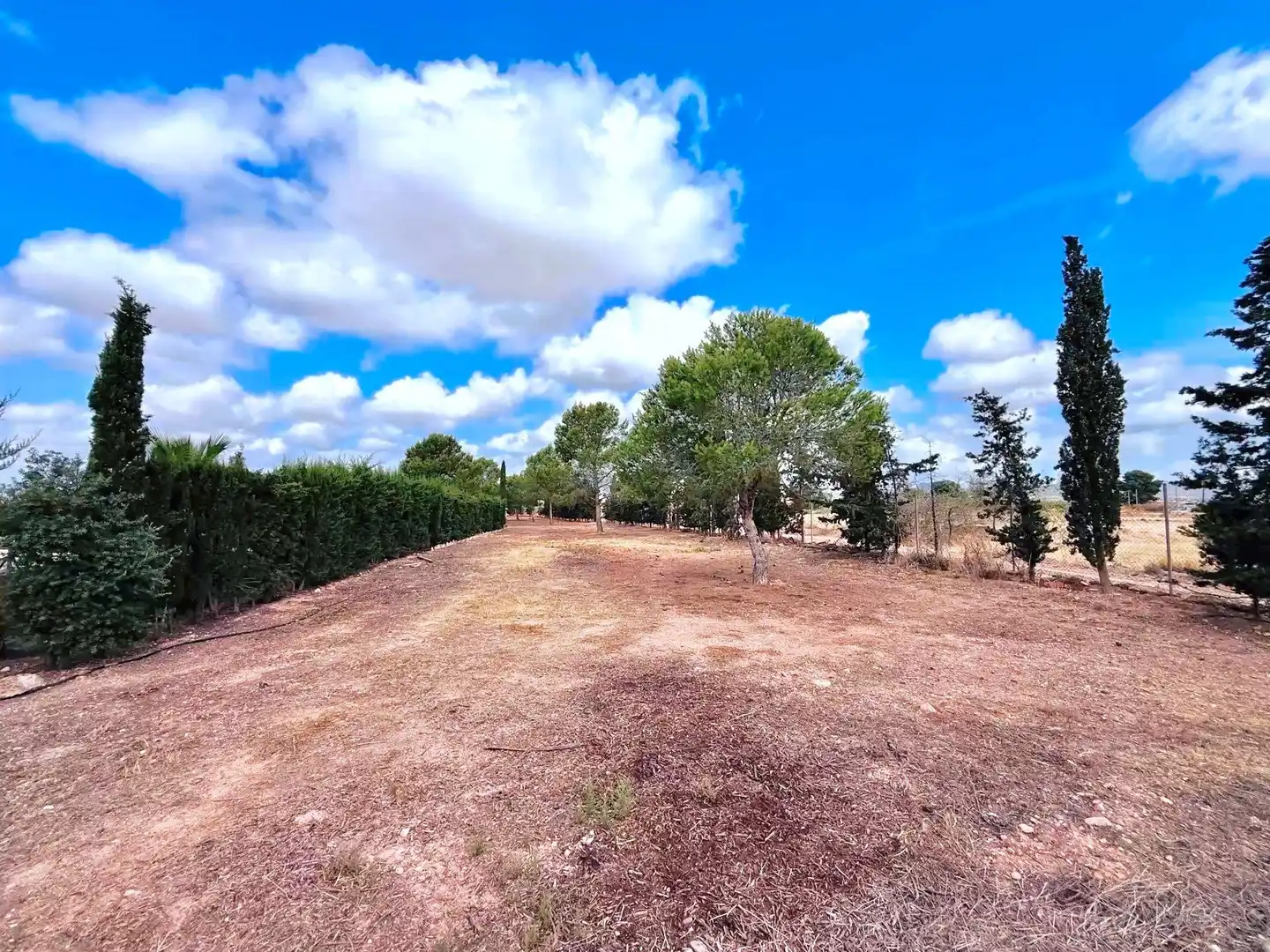 Finca rústica en venda en Murcia amb Piscina