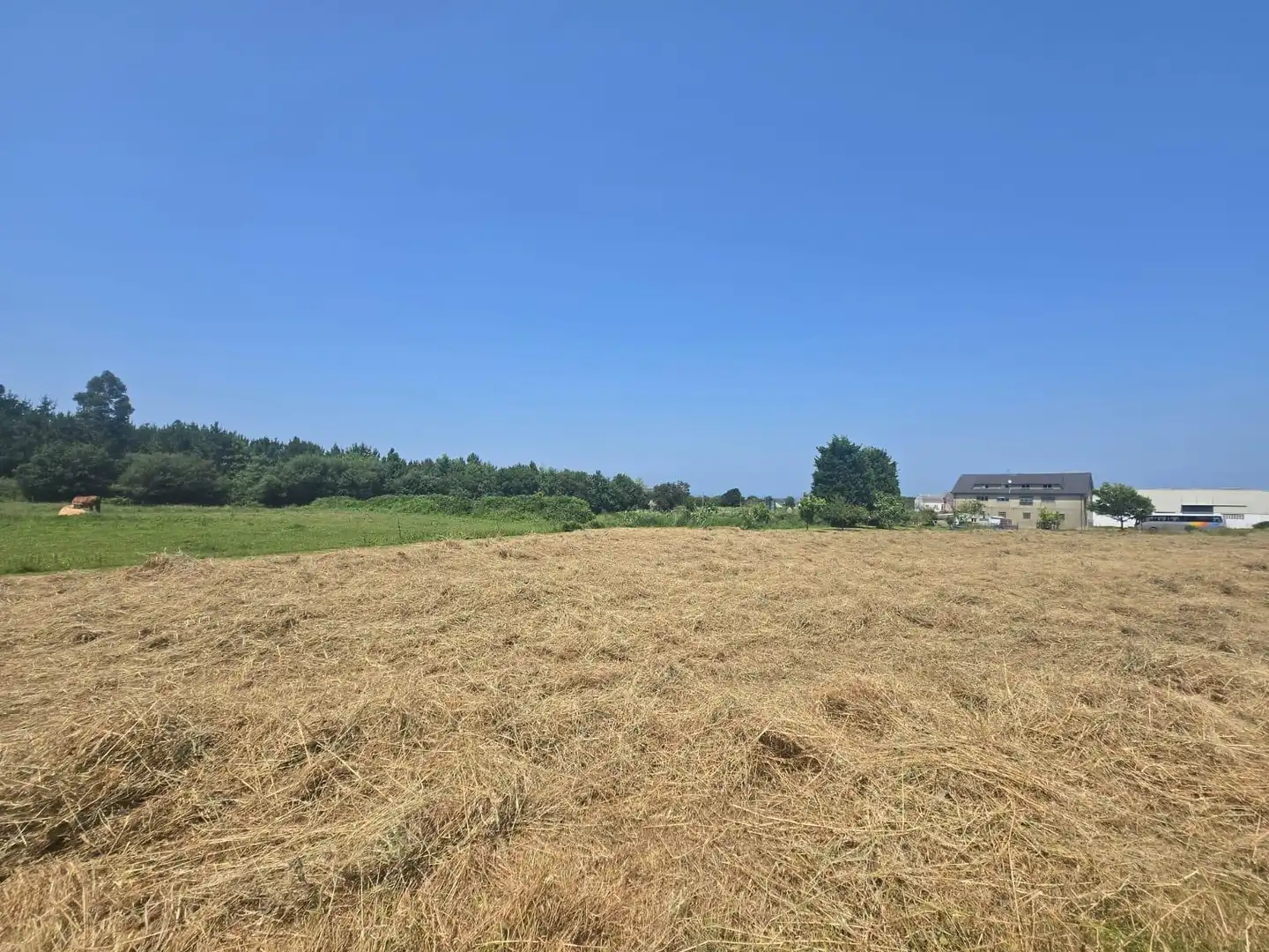 Residential land for sale in Carretera GENERAL SAN PEDRO 148, imagen 22