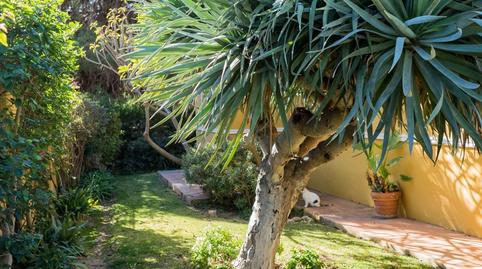 Foto 2 de Casa o xalet en venda a El Rosario - Ricmar, Marbella