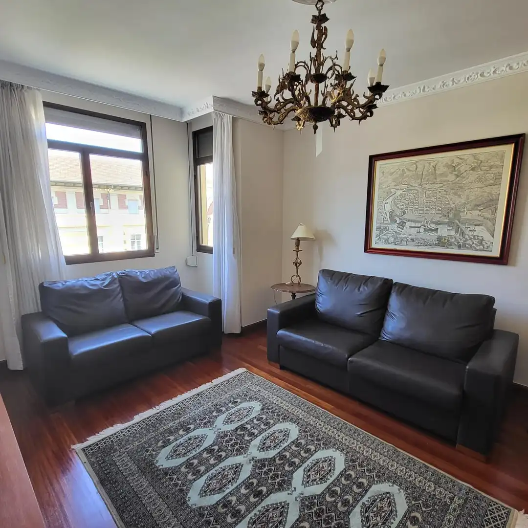Piso con terraza en venta en Alameda DOCTOR AREILZA, imagen 2