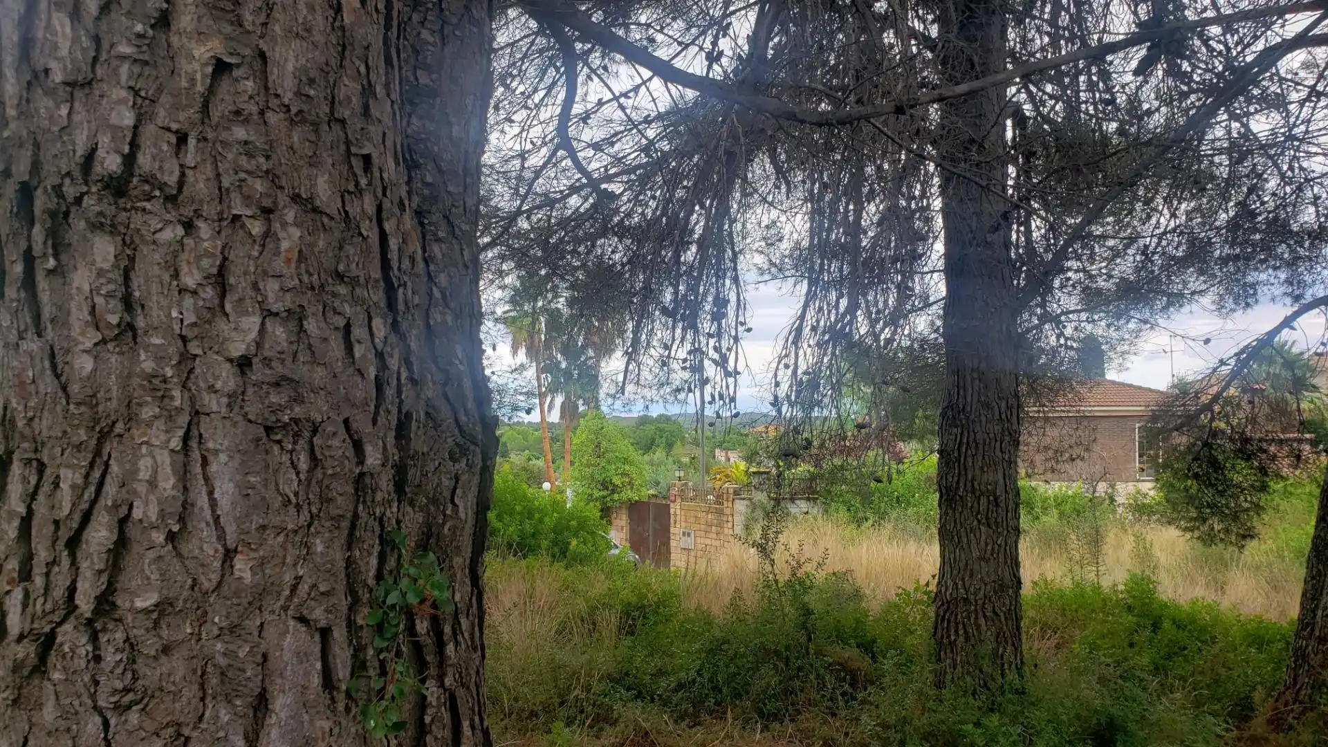Residential land for sale in Calle dels Almogavers 6, imagen 16