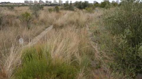 Photo 3 of Industrial land for sale in Els Terrers, Benicasim / Benicàssim