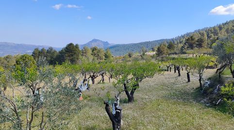 Foto 5 de Casa o chalet en venta en Diseminados, Benifallim, Alicante