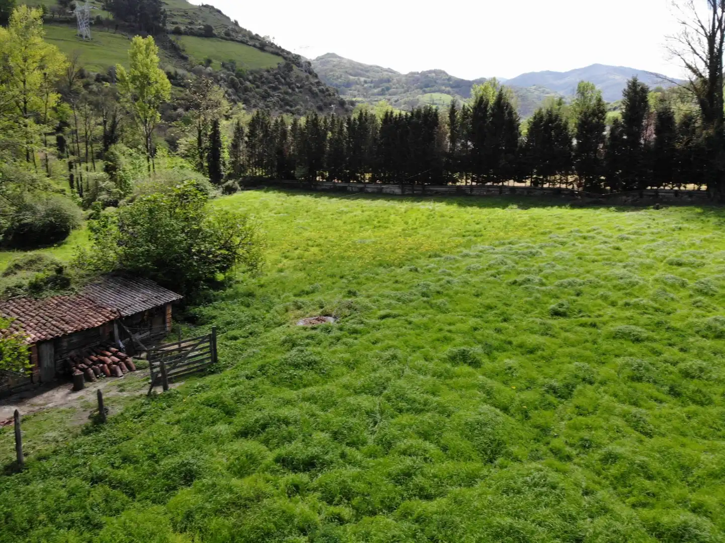 Garden of Residential for sale in Lena