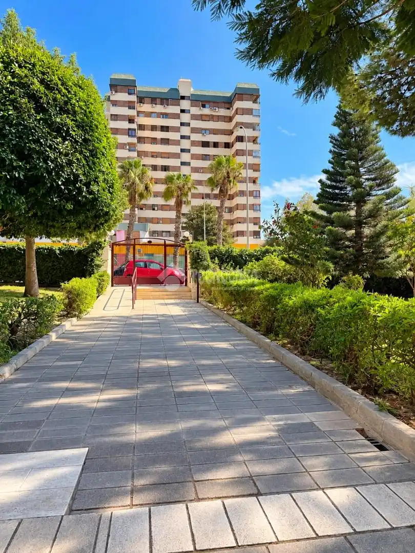 Vista exterior de Piso en venta en Alicante / Alacant con Terraza
