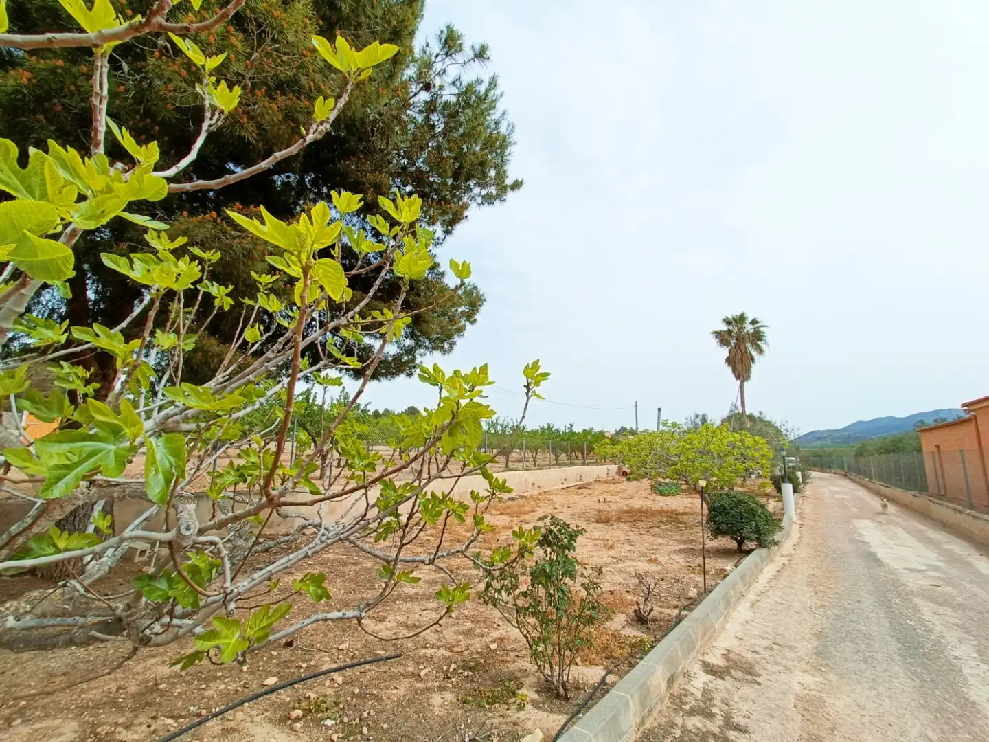 Villa in vendita a Hondón de los Frailes, imagen 7