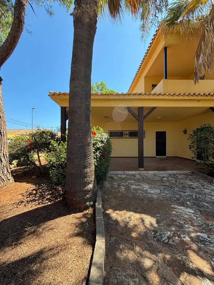 Exterior view of Houses for sale in Cartagena  with Private garden, Terrace and Storage room