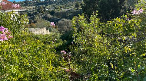 Photo 3 of Residential for sale in Calle Mirlo, 49, Los Alvarados - Fuente los Berros - Bandama, Las Palmas