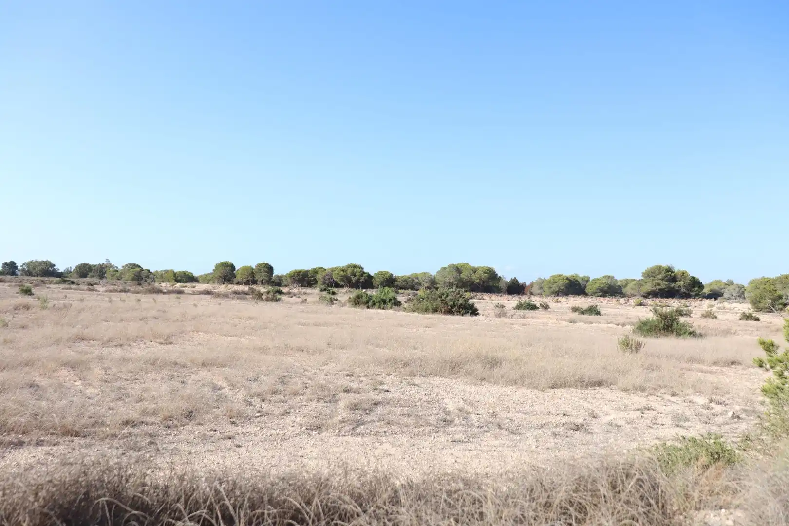 Terrain rustique à vendre à Valverde, imagen 6