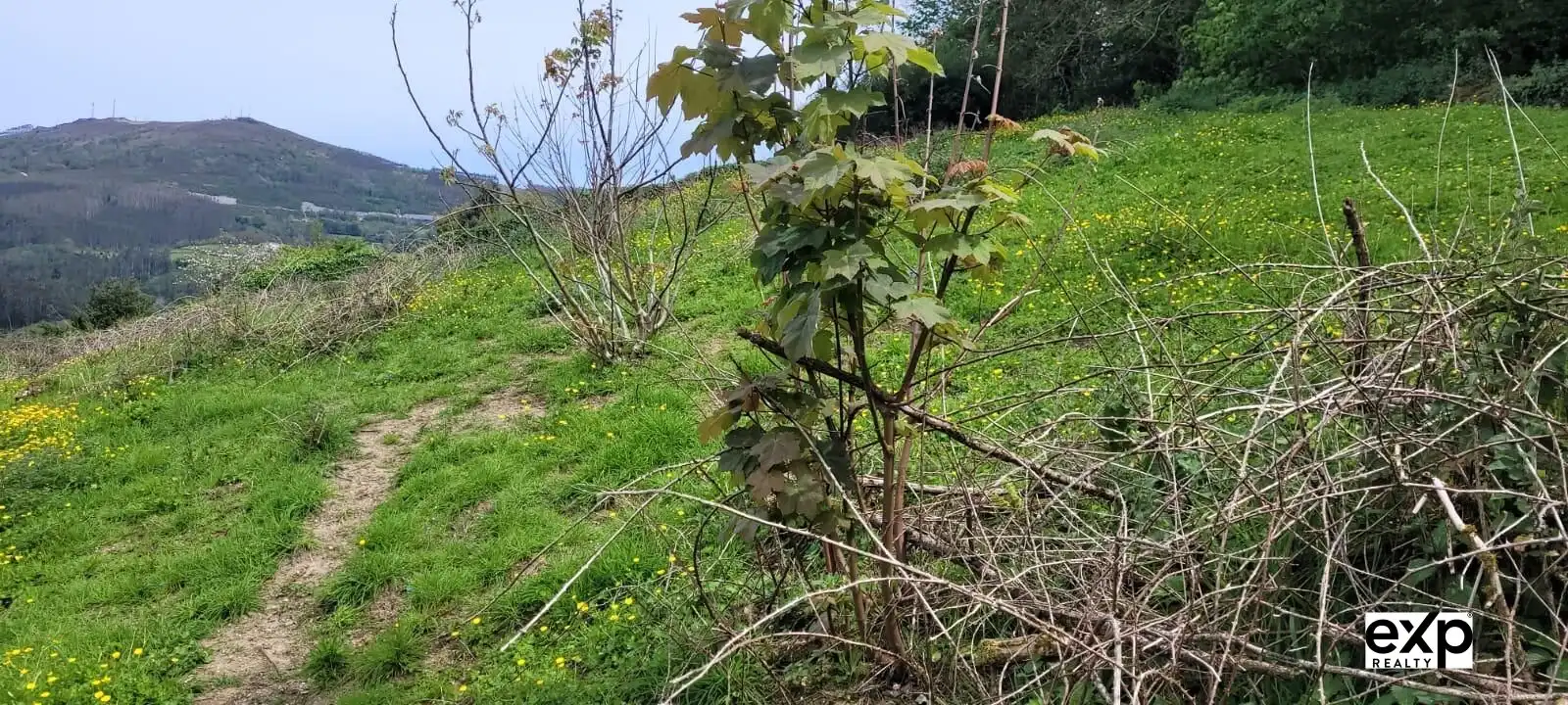 Casa o chalet en venta en Mondoñedo