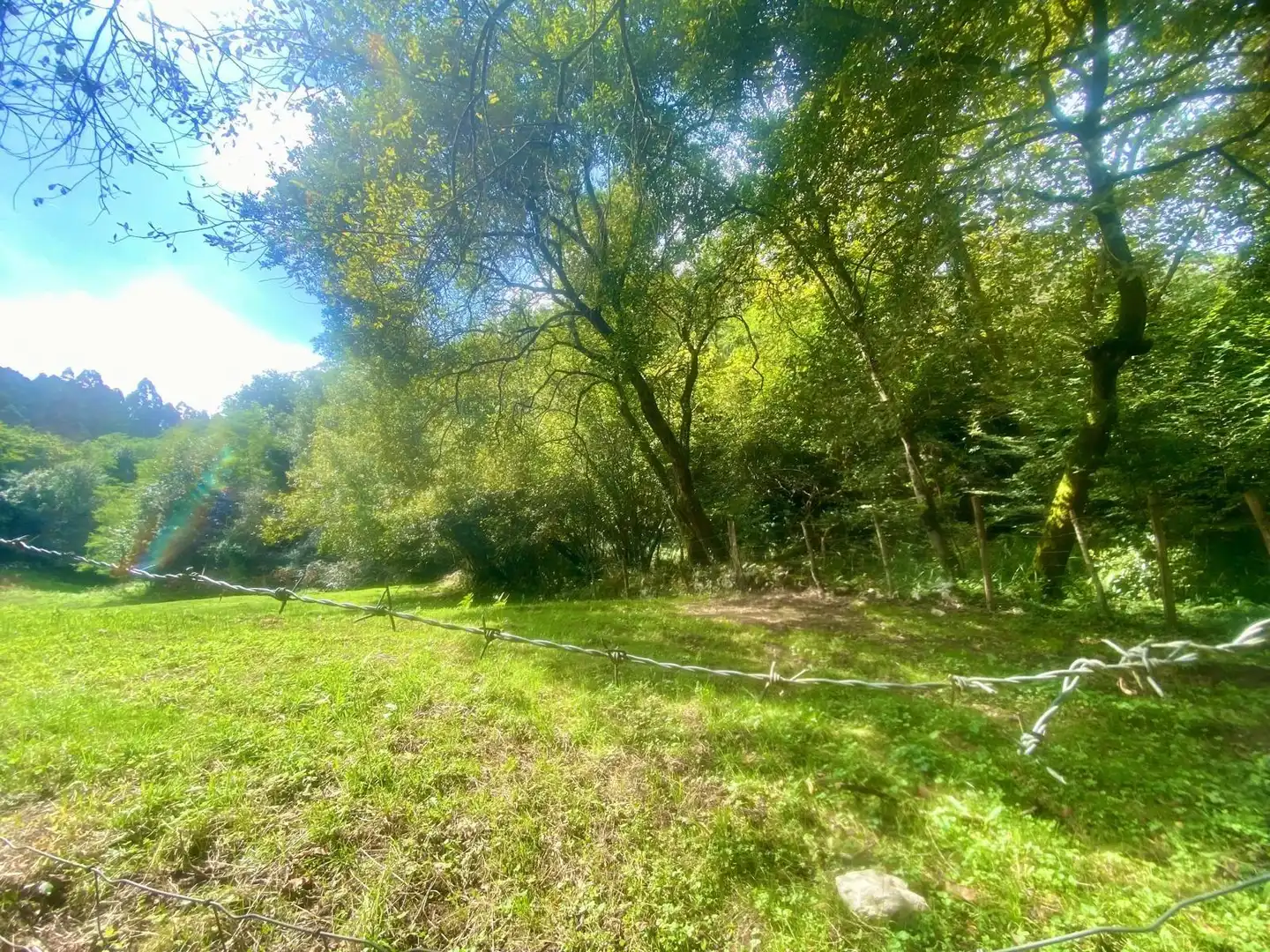 Terreny rústic en venda a Barrio San Millán, imagen 5